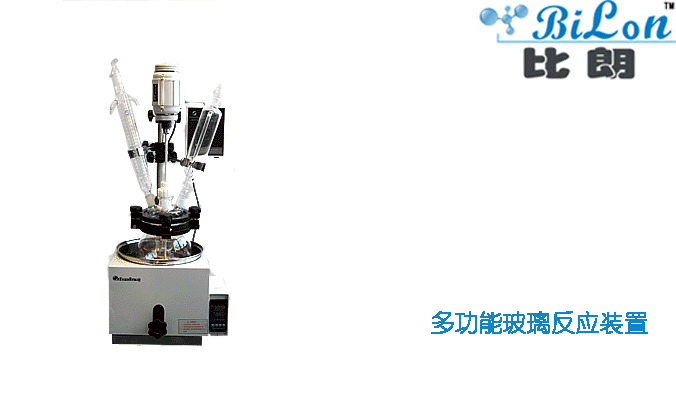 BILON上海比朗DGN－2L單層玻璃反應(yīng)釜