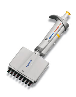 eppendorf 艾本德多道移液器
