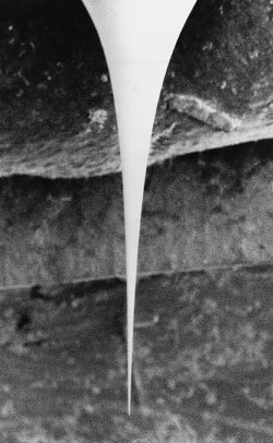 eppendorf 艾本德顯微注射的液體處理系統(tǒng)