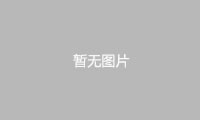 BILON上海比朗TYZD-II梅毒旋轉(zhuǎn)儀